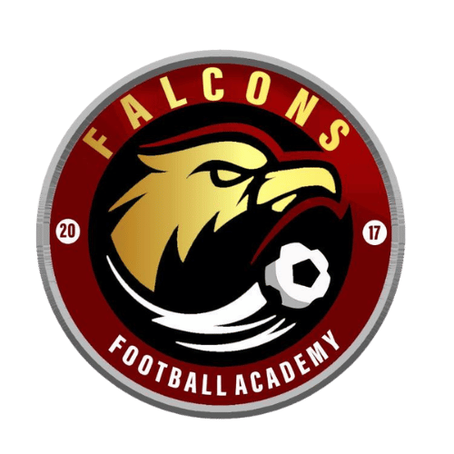 Falcons Football Academy